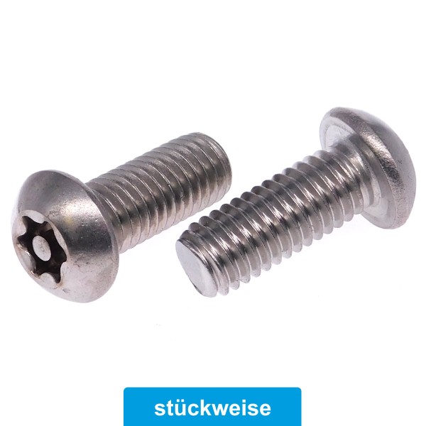 Sicherheitsschrauben Torx + PIN Flachrundkopf metrisches Gewinde Edelstahl A2